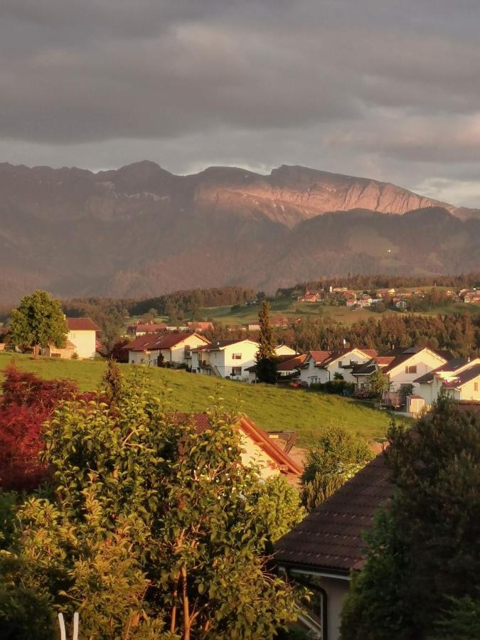 Apart Hotel Near Lucerne Ruswil ภายนอก รูปภาพ